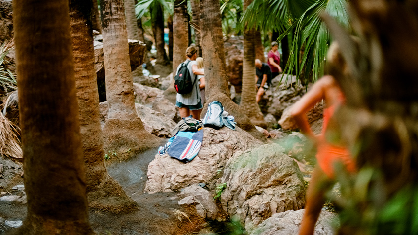 The National, 2021, Carriageworks, Visual Art, MCA, Museum of Contemporary Art, Art Gallery of NSW, Contemporary Art, Visual Art, Exhibition