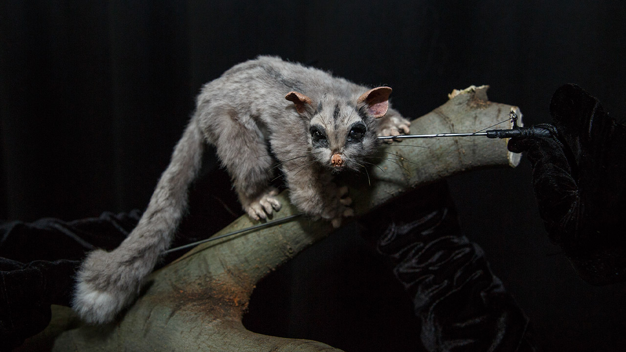 Duba, Sydney Festival, Carriageworks, Erth Visual & Physical Inc., Puppetry, Puppet