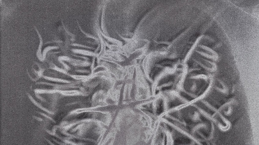 Traces DBR x Cypha x Joan x Brigitte